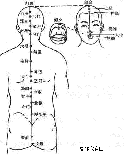 督脈的循行及其生理功能